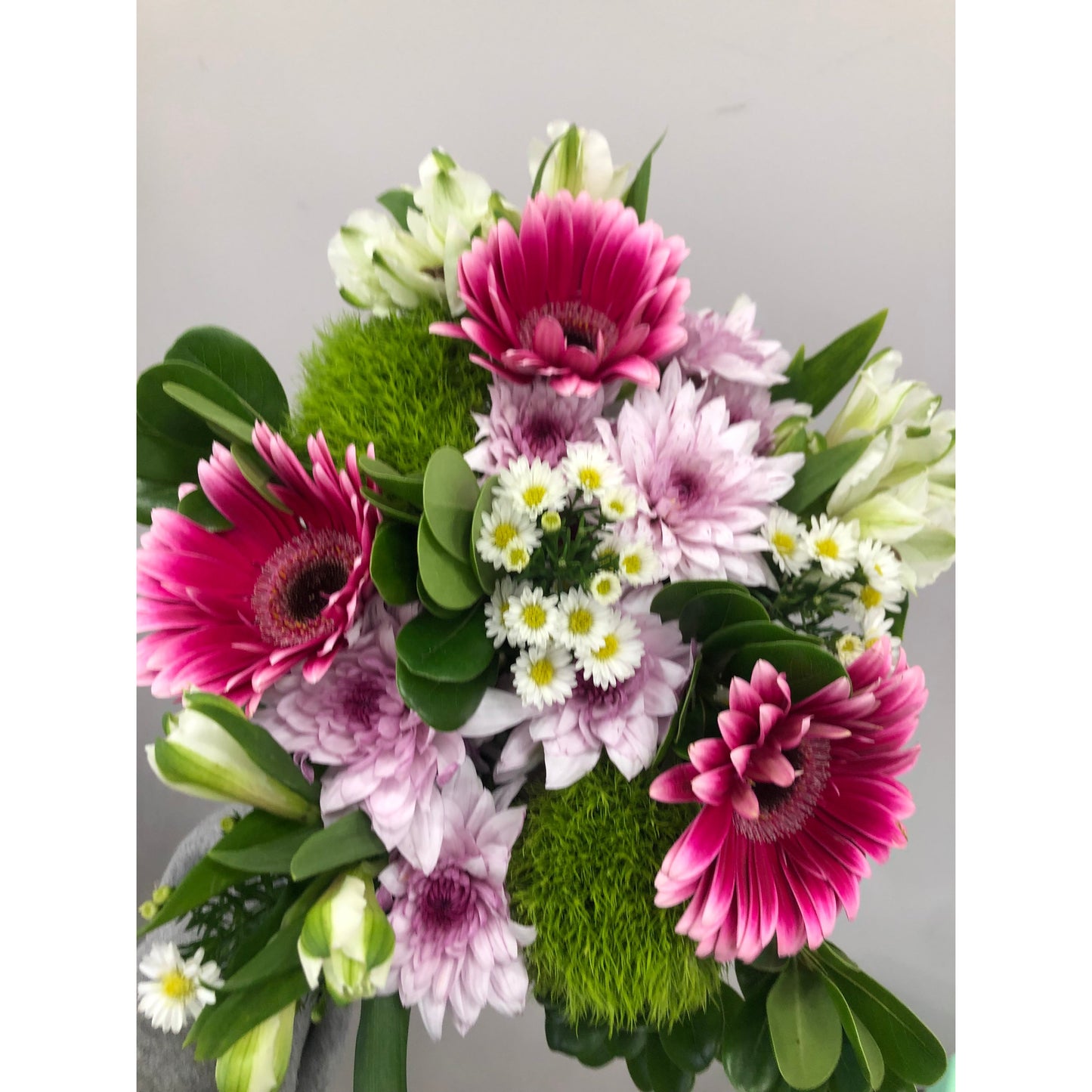 Gerbera Hand Tied Bouquet
