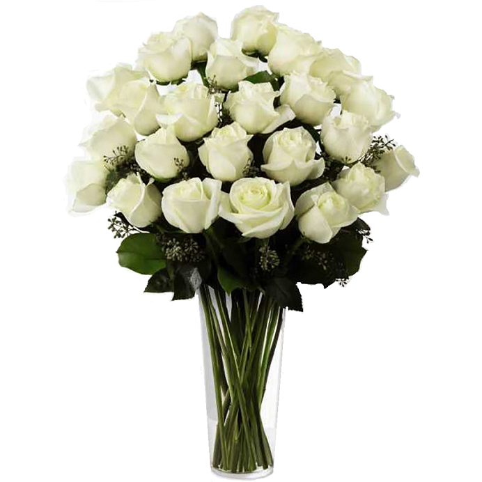 Two Dozen Roses