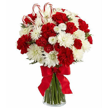 Beautiful flower arrangement with red carnations and white mums. Garnished with a bow and candy canes