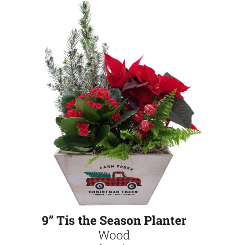 Tis the Season Planter